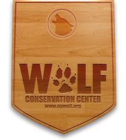 wolf conservation center